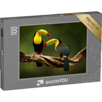Puzzle puzzle 100 dílků „Tukan sedící na větvi v lese, krásná vegetace Kostariky“