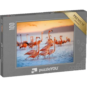 Puzzle puzzle 100 dílků „Růžoví plameňáci“