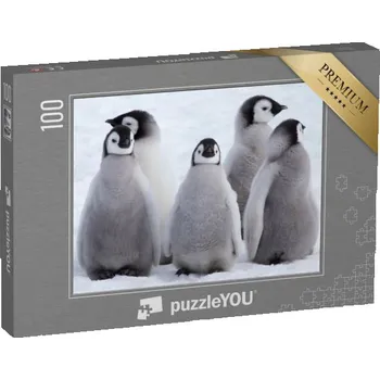Puzzle puzzle 100 dílků „Mláďata tučňáka císařského v Antarktidě“