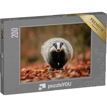 Puzzle puzzle 200 dílků „Jezevec v lese“