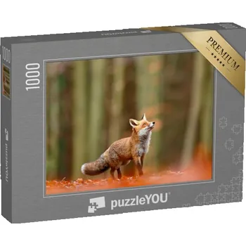 Puzzle puzzle „Roztomilá liška obecná, Vulpes vulpes v podzimním lese“
