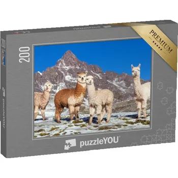 Puzzle puzzle 200 dílků „Skupina lam na zasněžené pastvině, Andy, Peru“
