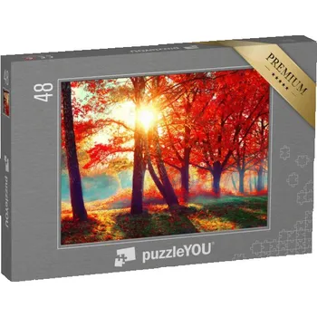 Puzzle puzzle 48 dílků „Červené listí ve zlatém světle podzimního slunce“
