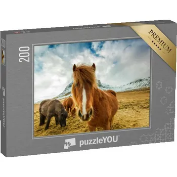 Puzzle puzzle 200 dílků „Koně v islandských horách“