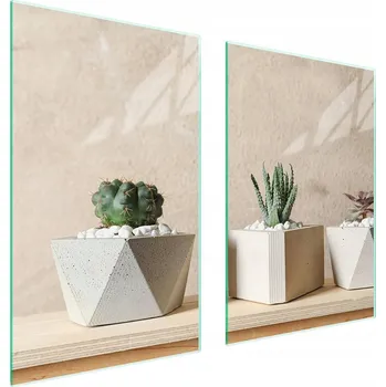 Obraz Skleněná ochranná deska na sporák 65x52 Kaktus