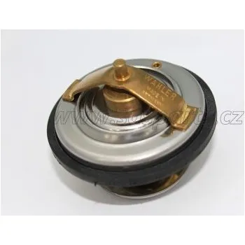 termostat motoru M26.7