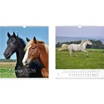 MFP Paper 2026 Kalendář 2026 nástěnný malý Horses