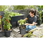 Elho Obal Green Basics Tomato Pot – černý, 33 cm