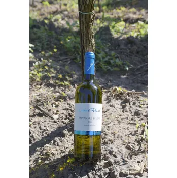 Víno Sylvánské zelené 2024, kabinetní víno, Lukeš Pavel, polosuché