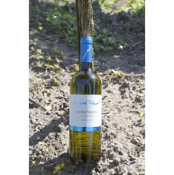 Cuvée Travel 2024, pozdní sběr, Lukeš Pavel, polosladké