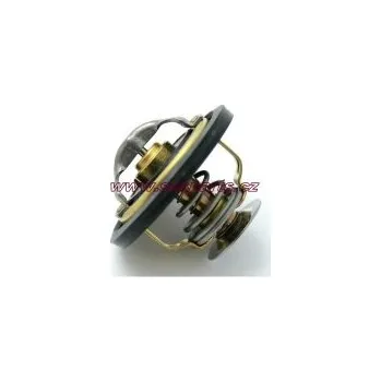 termostat motoru M26.2