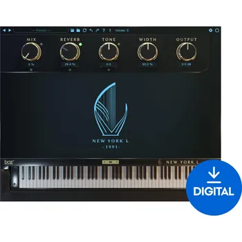 Software BOZ DIGITAL Boz Digital New York L 1991 (Digitální produkt)