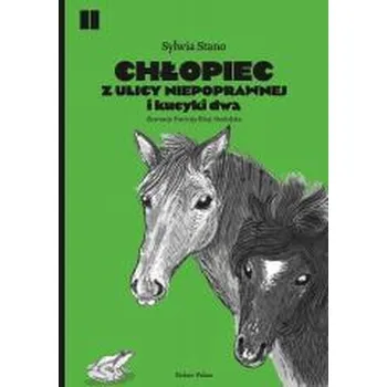 Pohádka Chłopiec z ulicy Niepoprawnej i kucyki dwa - Sylwia Stano, Roma Gąsiorowska