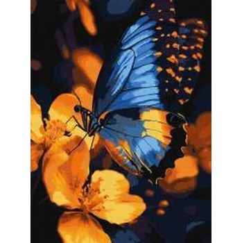 Set školních potřeb Malowanie po numerach - Migotanie skrzydeł 30x40cm