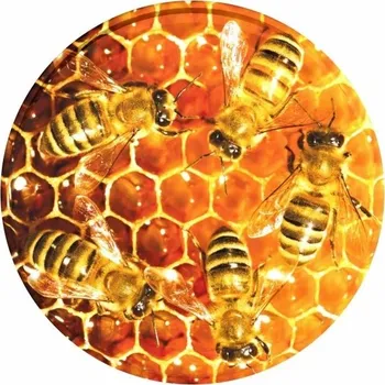 Víčko na sklenici - pět včel