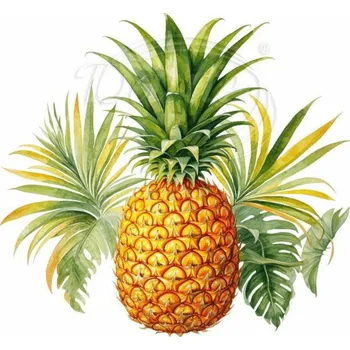Textilní nažehlovací páska Dante Nažehlovačka Ananas a listy - 12 x 11 cm