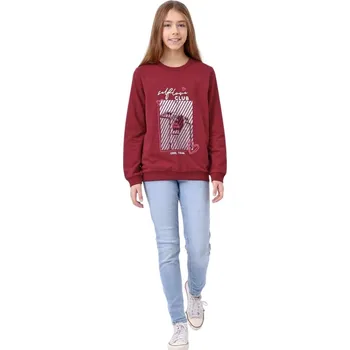Dívčí mikina Dívčí mikina Club - bordo 134