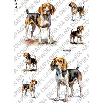 Výtvarný papír Rýžový a soft papír na decoupage - Pes Bígl - KB01371 Materiál: Rýžový papír, Rozměr: A4