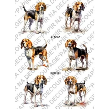 Umělecký papír Rýžový a soft papír na decoupage - Pes Bígl - KB01372 Materiál: Soft, Rozměr: A4