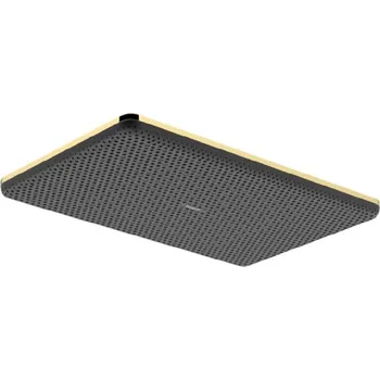 Sprchová hlavice Hansgrohe Raindance Alive Q - Hlavová sprcha, 21x34 cm, EcoSmart, leštěný vzhled zlata 24531990