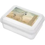 Svačinový box kůň