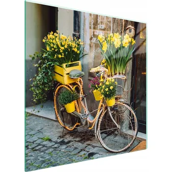 Obraz Skleněná ochranná deska na sporák 50x52 Kolo