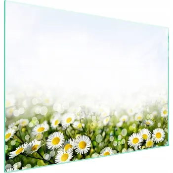 Obraz Skleněná ochranná deska na sporák 70x52 Květiny