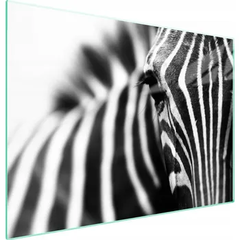 Obraz Skleněná ochranná deska na sporák 70x52 Zebra
