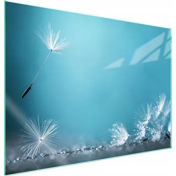 Obraz Skleněná ochranná deska na sporák 70x52 Květina