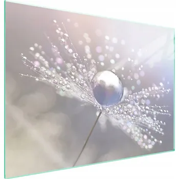 Obraz Skleněná ochranná deska na sporák 70x52 Květina