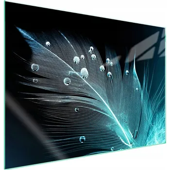 Obraz Skleněná ochranná deska na sporák 70x52 Pero