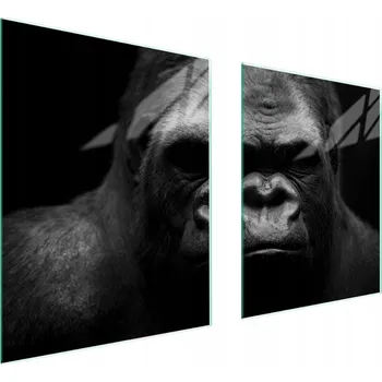 Obraz Skleněná ochranná deska na sporák 85x52 Goryl