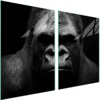 Obraz Skleněná ochranná deska na sporák 2x45x52 Goryl