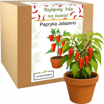 Obraz Dárek ke Dni otců pro tatínka Sada pro pěstování Jalapeno Nejlepší táta