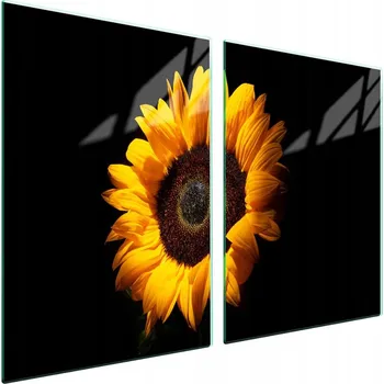 Obraz Skleněná ochranná deska na sporák 2x45x52 Květina