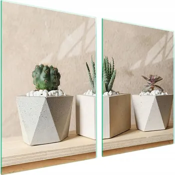 Obraz Skleněná ochranná deska na sporák 2x45x52 Kaktus