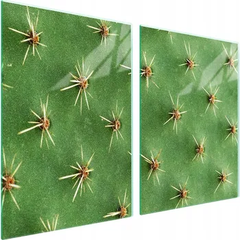 Obraz Skleněná ochranná deska na sporák 2x45x52 Kaktus