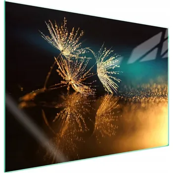 Obraz Skleněná ochranná deska na sporák 70x52 Květina