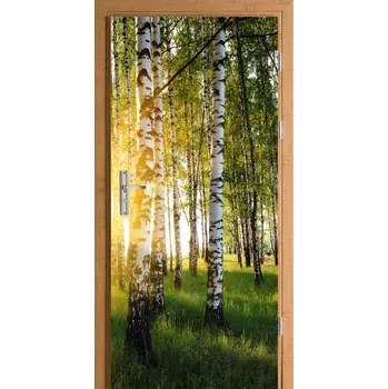 Fototapeta Samolepicí nálepka na dveře březový les