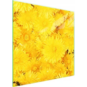 Obraz Skleněná ochranná deska na sporák 50x52 Květina