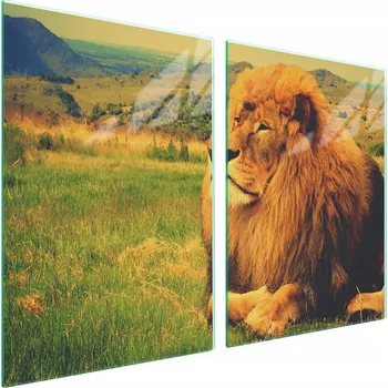 Obraz Skleněná ochranná deska na sporák 2x45x52 Lev