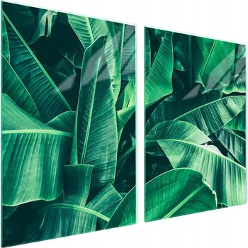 Obraz Skleněná ochranná deska na sporák 2x45x52 List