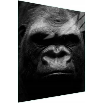 Obraz Krájecí deska TMK ArtDeko sklo 1 ks