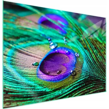 Obraz Skleněná ochranná deska na sporák 70x52 Pero