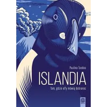 Cestování Islandia. Tam, gdzie elfy mówią dobranoc w.2 - Paulina Tondos [PL] (2025, Bezdroża)