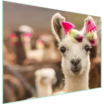 Obraz Skleněná ochranná deska na sporák 70x52 Lama