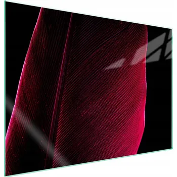 Obraz Skleněná ochranná deska na sporák 70x52 Pero