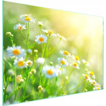 Obraz Skleněná ochranná deska na sporák 70x52 Květina