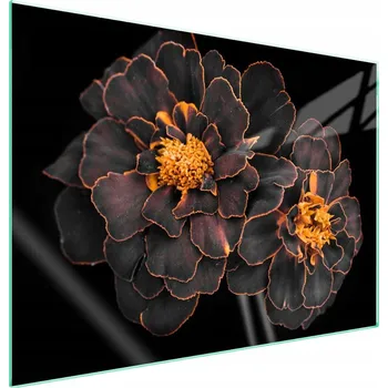 Obraz Skleněná ochranná deska na sporák 70x52 Květina