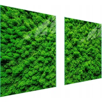 Obraz Skleněná ochranná deska na sporák 85x52 Barva